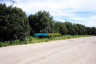 Οικόπεδο 4.850 τ.μ. για πώληση, Αργολίδα, Άργος-thumb-9
