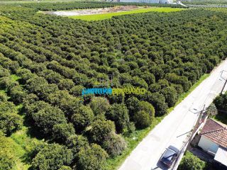 Οικόπεδο 4.850 τ.μ. για πώληση, Αργολίδα, Άργος-thumb-2