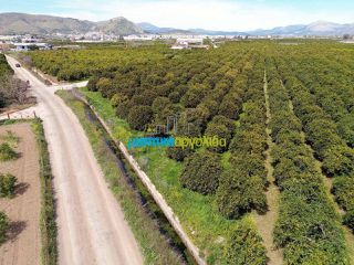 Οικόπεδο 5.100 τ.μ. για πώληση, Αργολίδα, Άργος-thumb-9