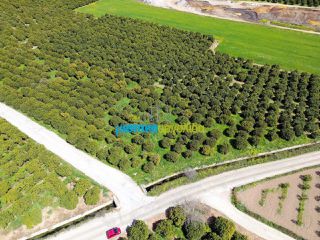 Οικόπεδο 5.100 τ.μ. για πώληση