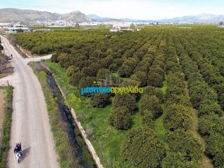 Οικόπεδο 5.100 τ.μ. για πώληση, Αργολίδα, Άργος-thumb-8