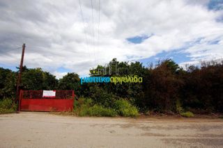 Οικόπεδο 4.000 τ.μ. προς πώληση, Κουρτάκι Άργους-thumb-19