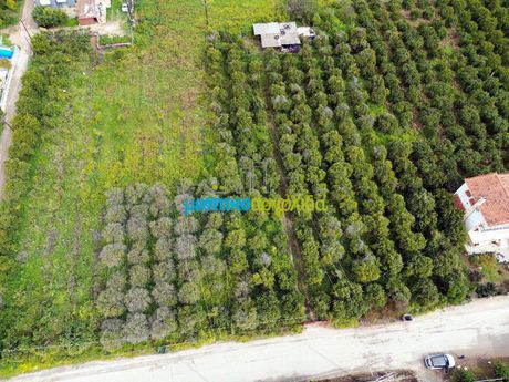 Land plot 4.000sqm for sale-Argos