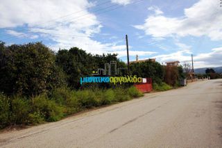 Οικόπεδο 4.000 τ.μ. προς πώληση, Κουρτάκι Άργους-thumb-21