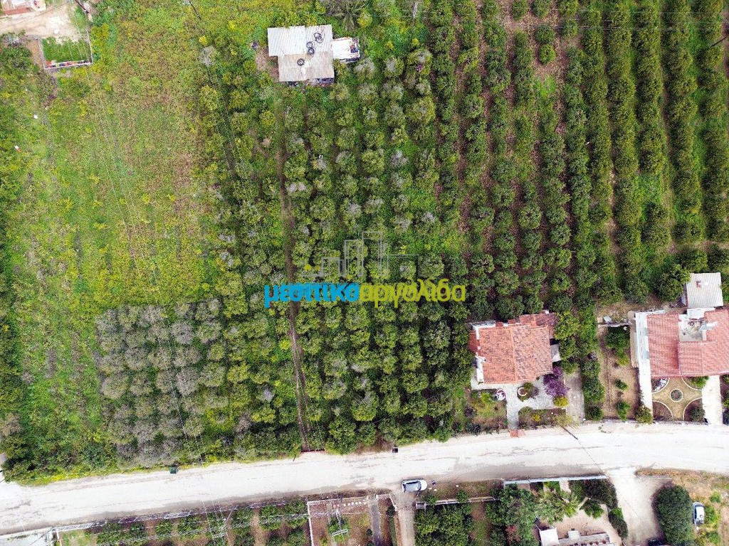 Οικόπεδο 4.000 τ.μ. προς πώληση, Κουρτάκι Άργους