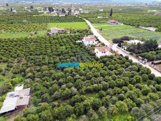 Οικόπεδο 4.000 τ.μ. προς πώληση, Κουρτάκι Άργους-thumb-7