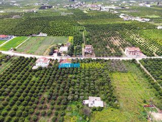 Οικόπεδο 4.000 τ.μ. προς πώληση, Κουρτάκι Άργους-thumb-5
