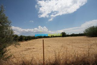 Οικόπεδο 5.297 τ.μ. για πώληση, Αργολίδα, Μιδέα-thumb-12