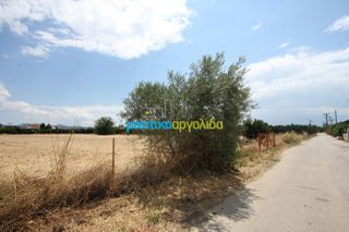 Οικόπεδο 5.297 τ.μ. για πώληση, Αργολίδα, Μιδέα-thumb-8