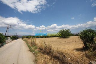 Οικόπεδο 5.297 τ.μ. για πώληση, Αργολίδα, Μιδέα-thumb-23