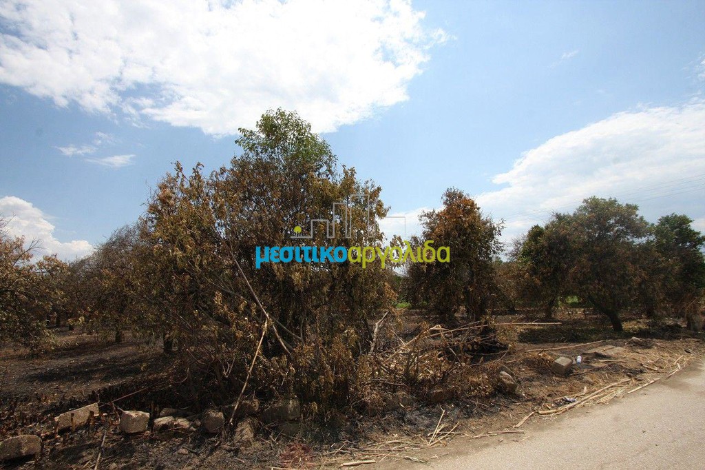 Οικόπεδο 5.297 τ.μ. προς πώληση, Αργολικό