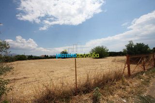 Οικόπεδο 5.297 τ.μ. για πώληση, Αργολίδα, Μιδέα-thumb-9