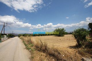 Οικόπεδο 5.297 τ.μ. για πώληση, Αργολίδα, Μιδέα-thumb-24