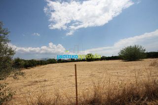 Οικόπεδο 5.297 τ.μ. για πώληση, Αργολίδα, Μιδέα-thumb-11