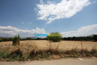 Οικόπεδο 5.297 τ.μ. για πώληση, Αργολίδα, Μιδέα-thumb-20