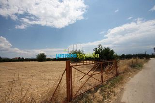 Οικόπεδο 5.297 τ.μ. για πώληση, Αργολίδα, Μιδέα-thumb-15