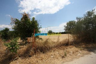Οικόπεδο 5.297 τ.μ. για πώληση, Αργολίδα, Μιδέα-thumb-7
