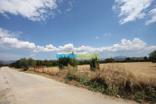 Οικόπεδο 5.297 τ.μ. για πώληση, Αργολίδα, Μιδέα-thumb-19