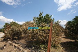 Οικόπεδο 5.297 τ.μ. για πώληση, Αργολίδα, Μιδέα-thumb-4
