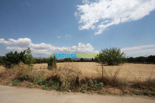 Οικόπεδο 5.297 τ.μ. για πώληση, Αργολίδα, Μιδέα-thumb-17