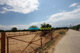 Οικόπεδο 5.297 τ.μ. για πώληση, Αργολίδα, Μιδέα-thumb-16