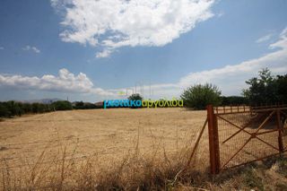 Οικόπεδο 5.297 τ.μ. για πώληση, Αργολίδα, Μιδέα-thumb-14