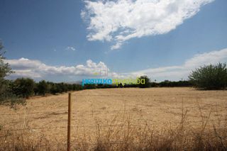 Οικόπεδο 5.297 τ.μ. για πώληση, Αργολίδα, Μιδέα-thumb-13