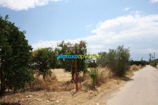 Οικόπεδο 5.297 τ.μ. για πώληση, Αργολίδα, Μιδέα-thumb-6
