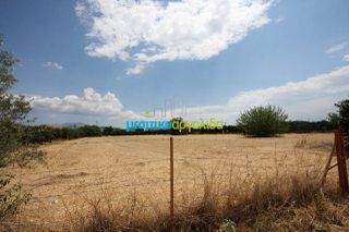 Οικόπεδο 5.297 τ.μ. για πώληση, Αργολίδα, Μιδέα-thumb-10
