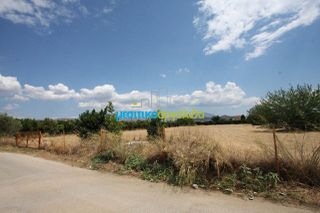 Οικόπεδο 5.297 τ.μ. για πώληση, Αργολίδα, Μιδέα-thumb-18