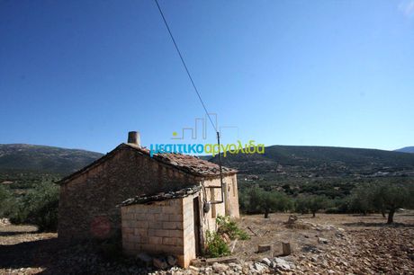 Μονοκατοικία 100 τ.μ. προς πώληση