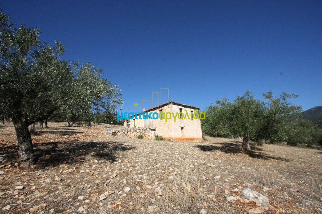 Μονοκατοικία 100 τ.μ. προς πώληση, Αγριλίτσα
