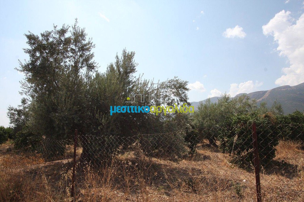 Αγροτεμάχια 9.200 τ.μ. προς πώληση, Πανόραμα Κουτσοποδίου