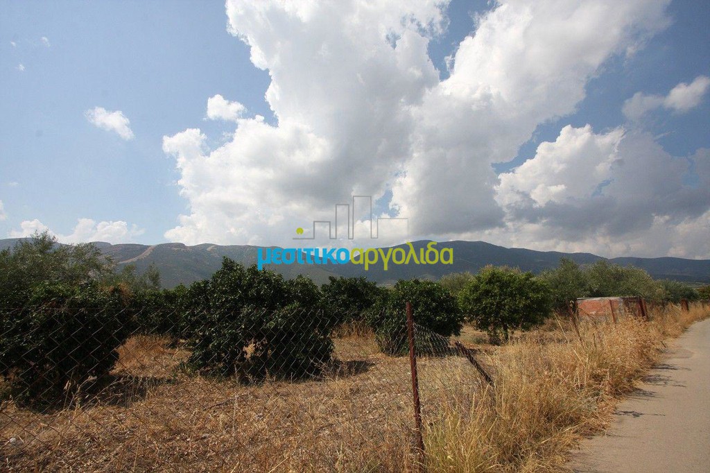 Αγροτεμάχια 9.200 τ.μ. προς πώληση, Πανόραμα Κουτσοποδίου