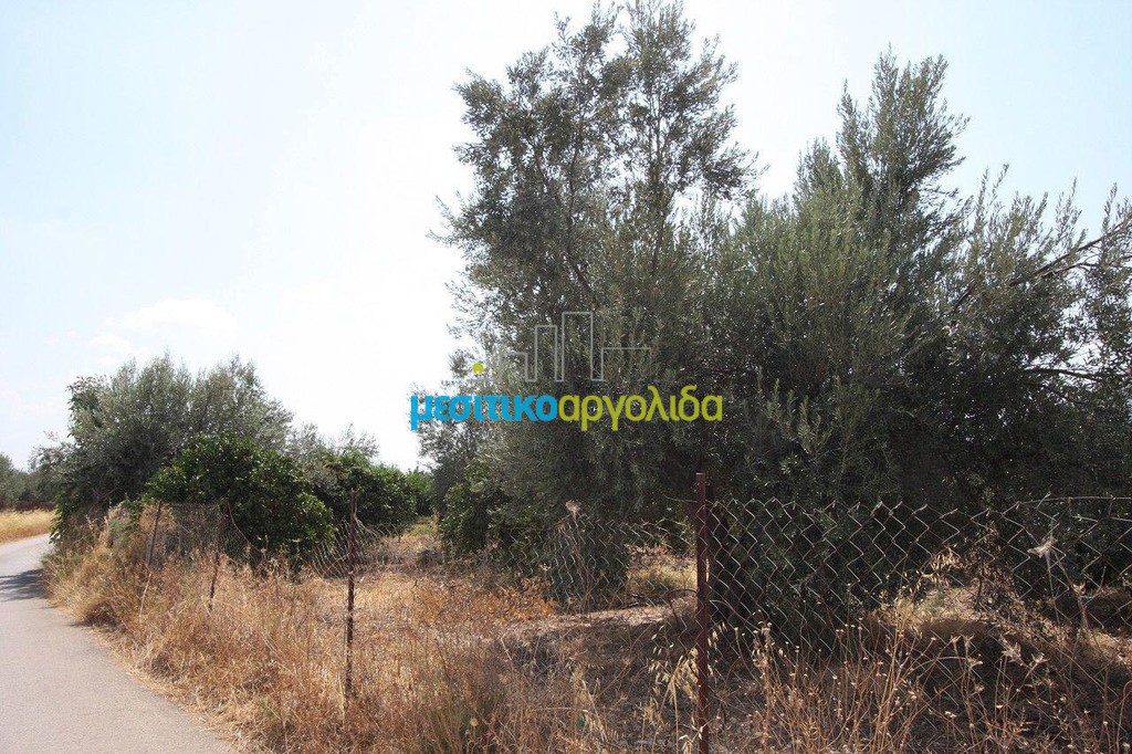 Αγροτεμάχια 9.200 τ.μ. προς πώληση, Πανόραμα Κουτσοποδίου