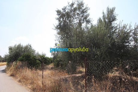 Parcel 9.200sqm for sale-Koutsopodi