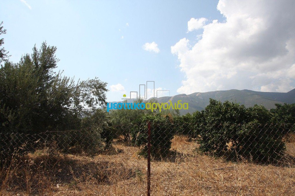 Αγροτεμάχια 9.200 τ.μ. προς πώληση, Πανόραμα Κουτσοποδίου
