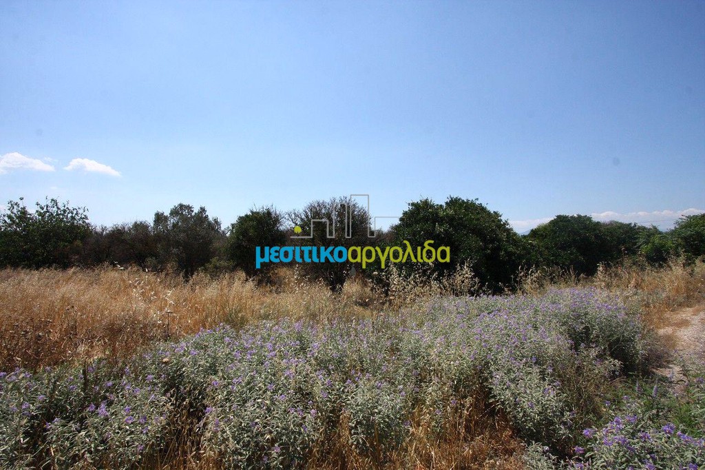 Οικόπεδο 6.400 τ.μ. προς πώληση, Άργος