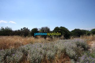 Οικόπεδο 6.400 τ.μ. για πώληση, Αργολίδα, Άργος-thumb-4