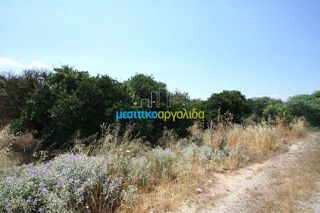 Οικόπεδο 6.400 τ.μ. για πώληση, Αργολίδα, Άργος-thumb-6