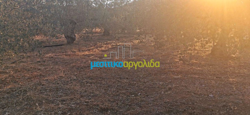 Αγροτεμάχια 20.000 τ.μ. προς πώληση, Μετόχι Ασκληπιείου