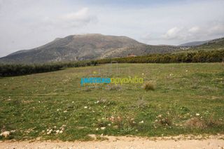 Αγροτεμάχια 8.600 τ.μ. για πώληση, Αργολίδα, Μιδέα-thumb-5