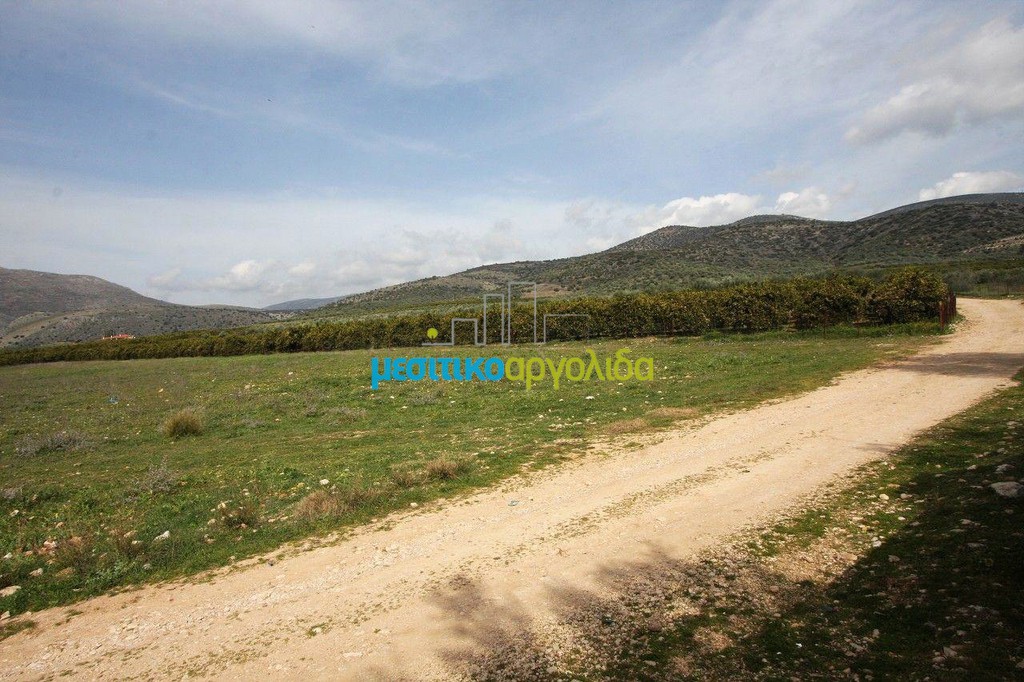 Αγροτεμάχια 8.600 τ.μ. προς πώληση, Μάνεσης Μιδέας