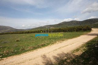 Αγροτεμάχια 8.600 τ.μ. για πώληση, Αργολίδα, Μιδέα-thumb-2