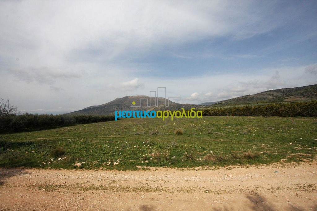 Αγροτεμάχια 8.600 τ.μ. προς πώληση, Μάνεσης Μιδέας