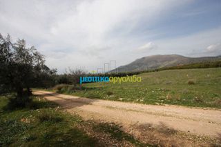 Αγροτεμάχια 8.600 τ.μ. για πώληση, Αργολίδα, Μιδέα-thumb-1