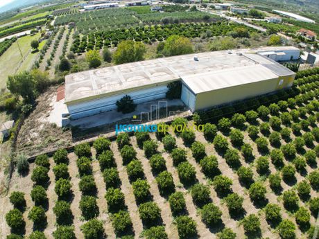 Βιομηχανικός χώρος 2.066τ.μ. για πώληση-Άργος