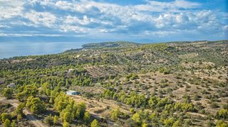 Αγροτεμάχια 5.875 τ.μ. πρός πώληση, Αργολίδα, Κρανίδι-thumb-9