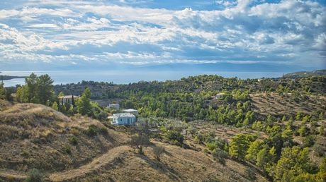 Αγροτεμάχια 5.875 τ.μ. για πώληση