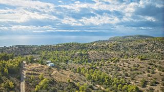 Αγροτεμάχια 5.875 τ.μ. πρός πώληση, Αργολίδα, Κρανίδι-thumb-10